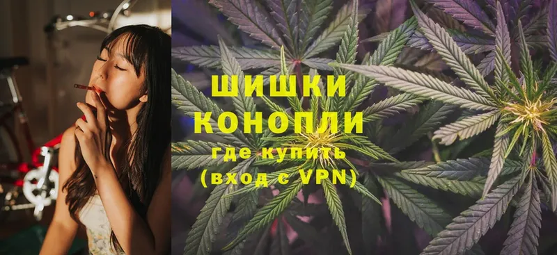 Конопля SATIVA & INDICA  продажа наркотиков  Николаевск-на-Амуре 